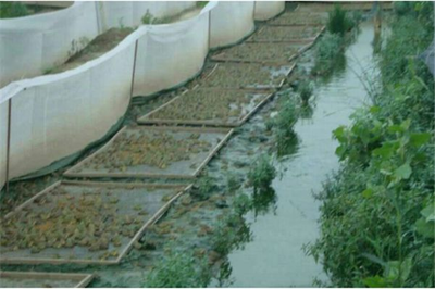 智能青蛙养殖管理 如何高效安全地删除产品记录