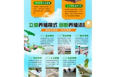 “蛙之道”养殖新模式 汉寿经验赋能浏阳青蛙产业，开启致富新通道